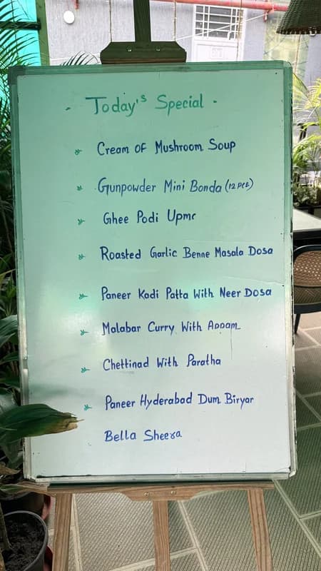 Banana Leaf - Image 5