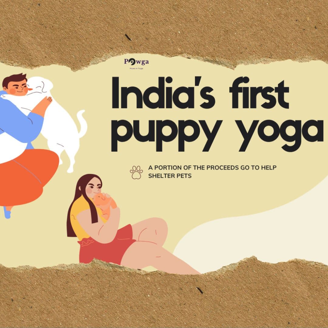 Puppy Yoga