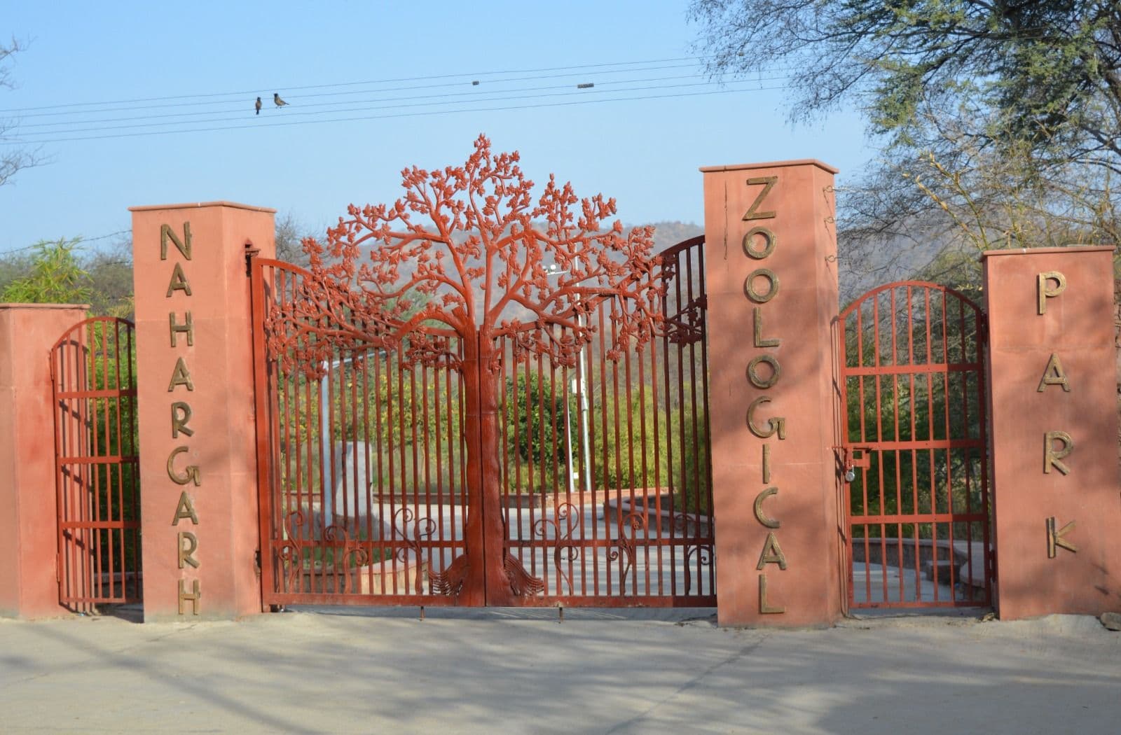 Nahargarh Biological Park