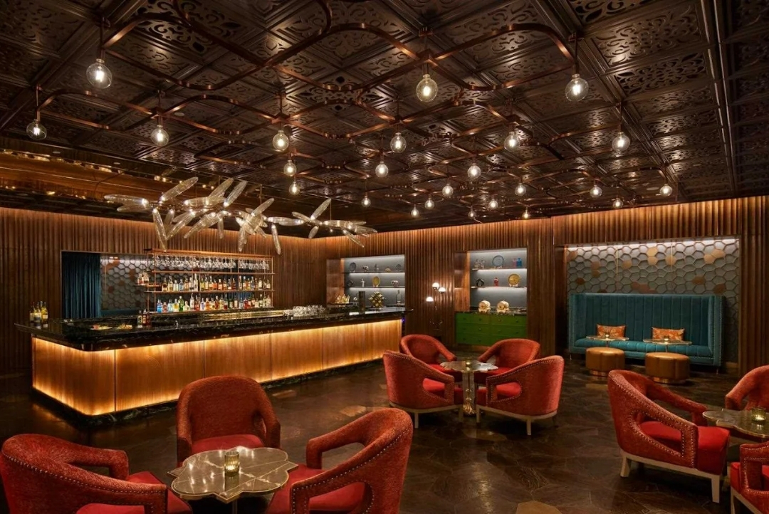 Taj Amer, Jaipur — bar and lounge