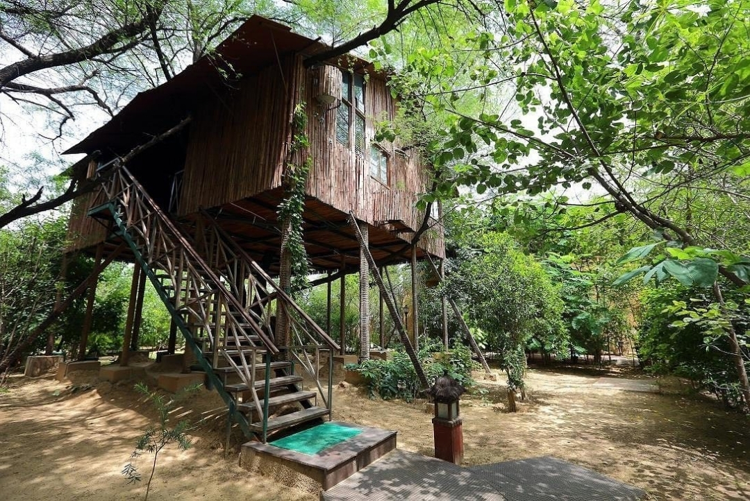 Elevated tree-house cottage — The Tree House Resort, Jaipur