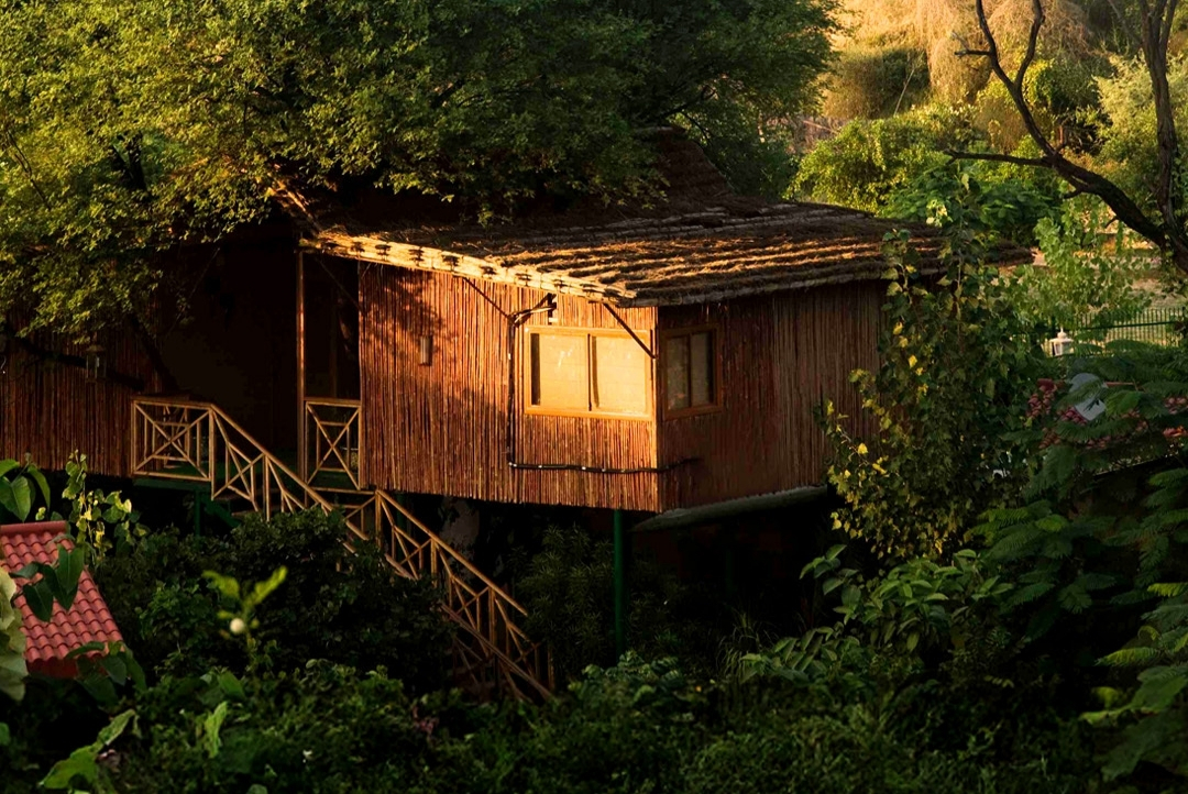 Tree-house cottage amid the greenery — The Tree House Resort, Jaipur