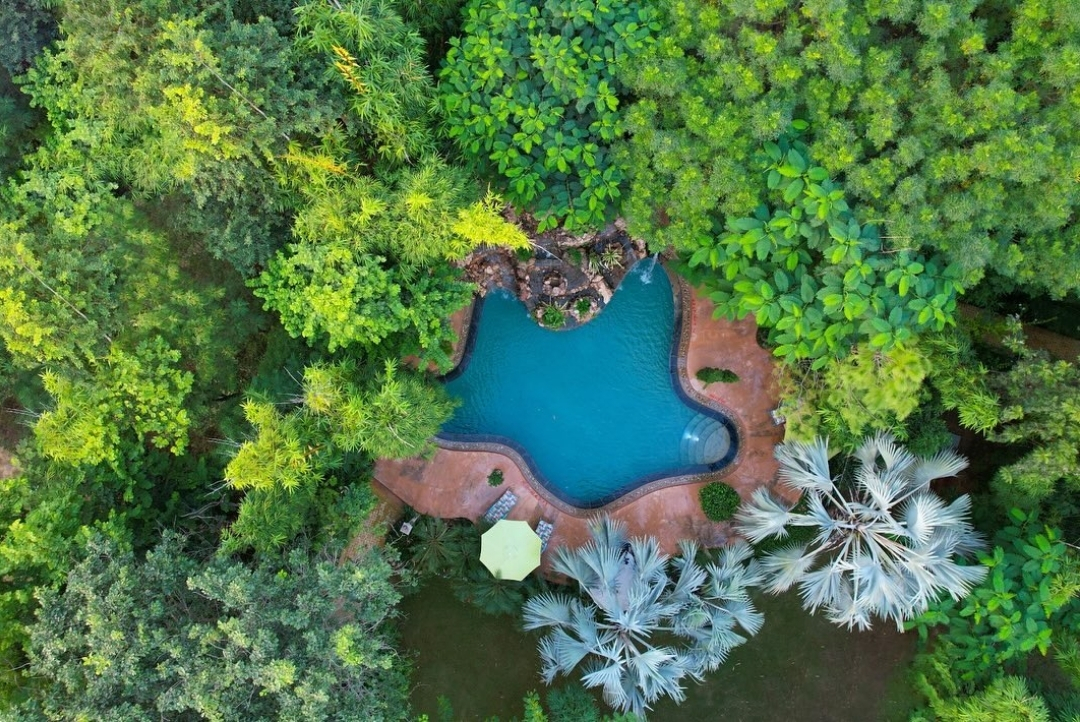 Aerial view of the pool in the green canopy — The Tree House Resort, Jaipur