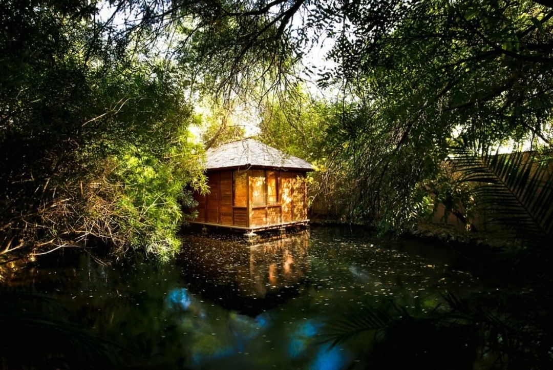 Tree-house cottage over the water at dusk — The Tree House Resort, Jaipur