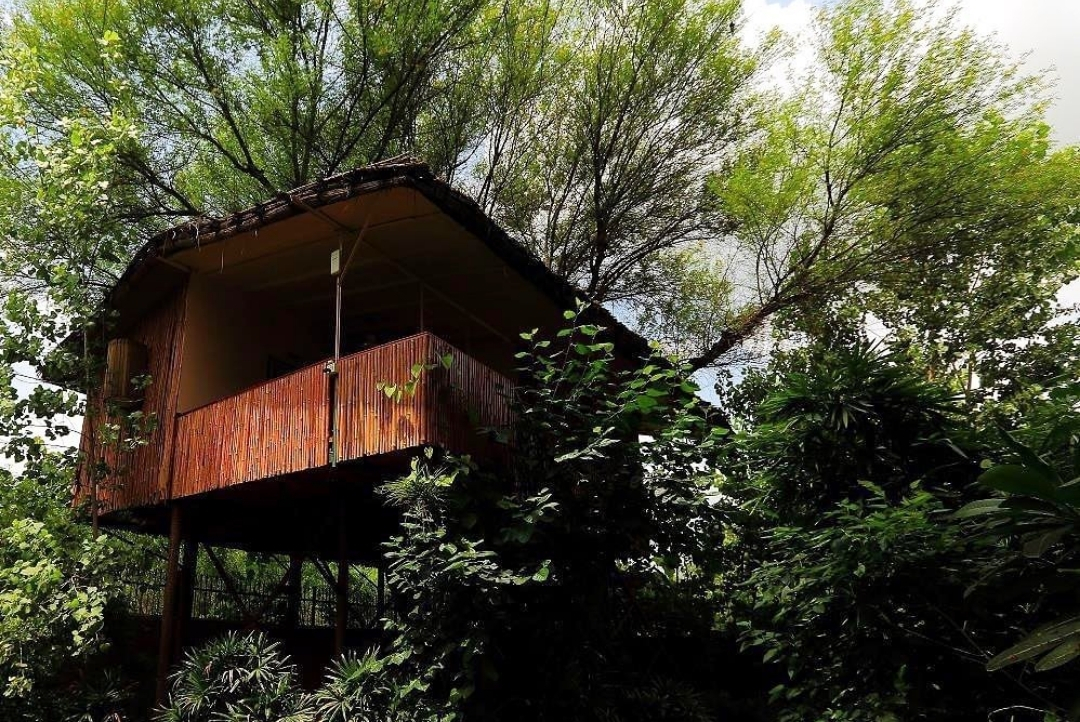 Tree-house cottage on stilts — The Tree House Resort, Jaipur