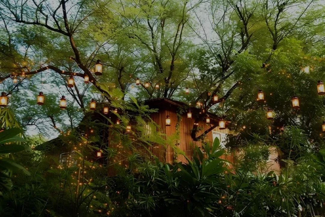 Evening dining under the trees — The Tree House Resort, Jaipur