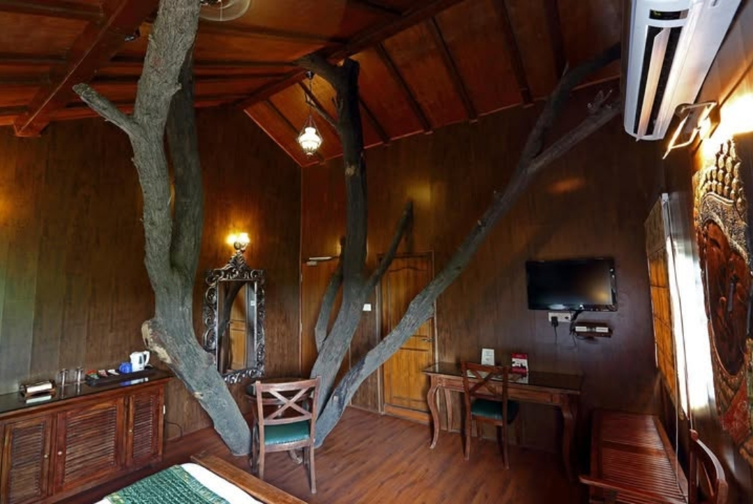 Tree-house room with a living tree — The Tree House Resort, Jaipur