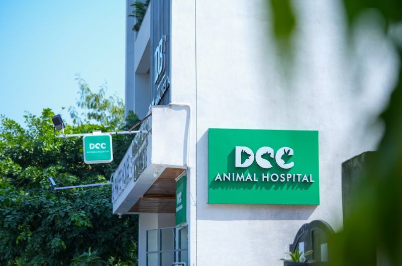 DCC Animal Hospital Jaipur