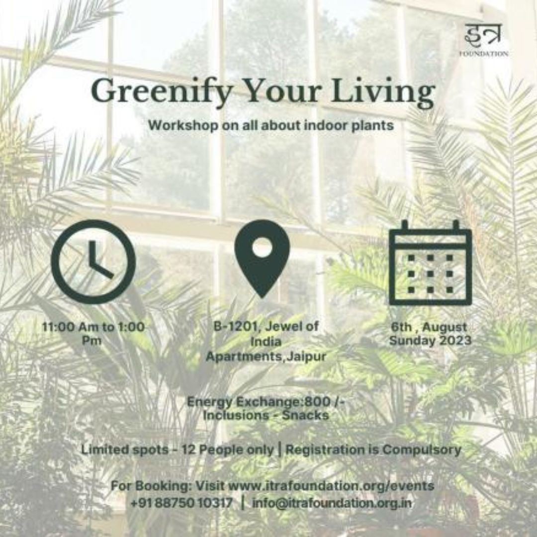 Greenify-Your-Living-Workshop-on-all-about-indoor-plants